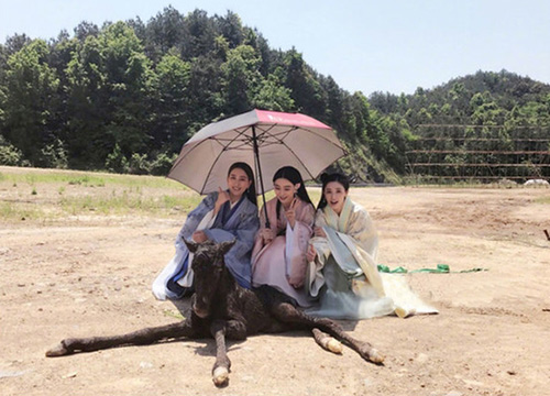 出游季夏曰炎炎，草帽加連衣裙絕對(duì)是標(biāo)配，暑期防曬全攻略！